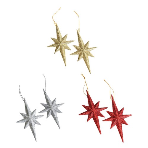 Stück weihnachtsstern - 2,